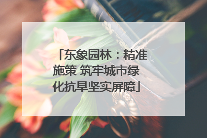 东象园林：精准施策 筑牢城市绿化抗旱坚实屏障