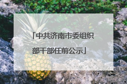 中共济南市委组织部干部任前公示