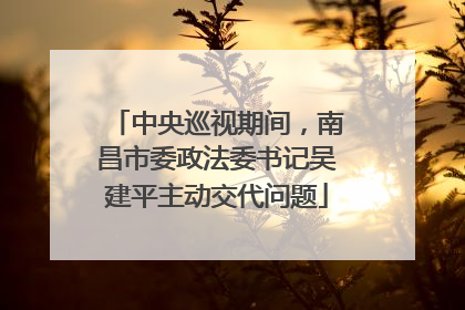 中央巡视期间，南昌市委政法委书记吴建平主动交代问题