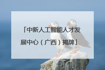 中新人工智能人才发展中心（广西）揭牌