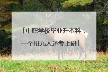中职学校毕业升本科，一个班九人还考上研