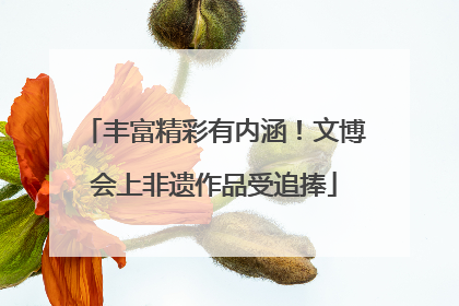 丰富精彩有内涵！文博会上非遗作品受追捧
