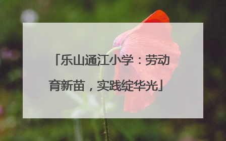 乐山通江小学：劳动育新苗，实践绽华光