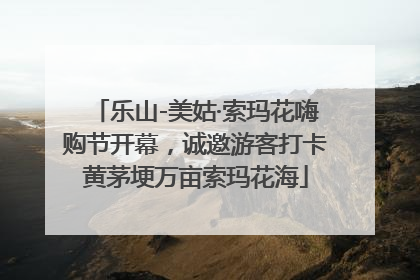 乐山-美姑·索玛花嗨购节开幕，诚邀游客打卡黄茅埂万亩索玛花海
