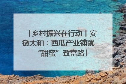 乡村振兴在行动丨安徽太和：西瓜产业铺就“甜蜜”致富路