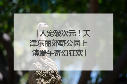 人宠破次元！天津东丽郊野公园上演端午奇幻狂欢
