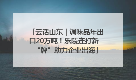 云话山东｜调味品年出口20万吨！乐陵连打新“牌”助力企业出海
