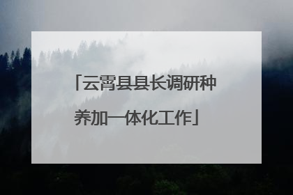 云霄县县长调研种养加一体化工作