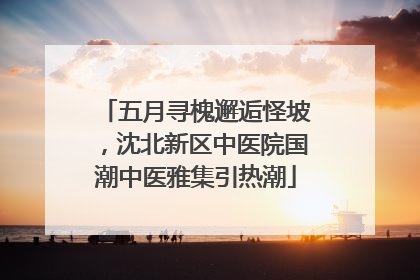 五月寻槐邂逅怪坡，沈北新区中医院国潮中医雅集引热潮