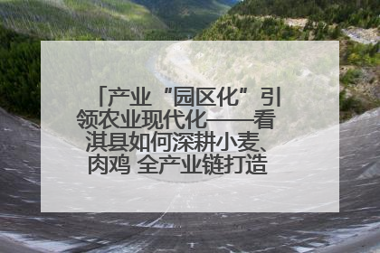 产业“园区化”引领农业现代化——看淇县如何深耕小麦、肉鸡 全产业链打造现代农业产业园