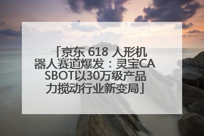 京东 618 人形机器人赛道爆发：灵宝CASBOT以30万级产品力搅动行业新变局