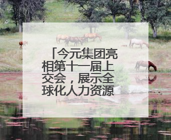 今元集团亮相第十一届上交会，展示全球化人力资源服务新范式