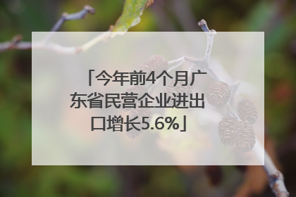 今年前4个月广东省民营企业进出口增长5.6%