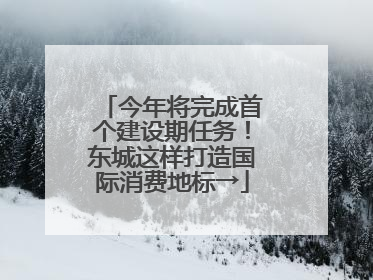 今年将完成首个建设期任务！东城这样打造国际消费地标→