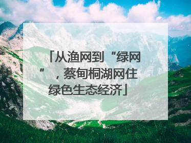 从渔网到“绿网”，蔡甸桐湖网住绿色生态经济