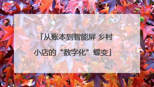 从账本到智能屏 乡村小店的“数字化”蝶变