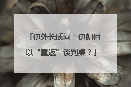 伊外长质问：伊朗何以“重返”谈判桌？