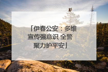 伊春公安：多维宣传强意识 全警聚力护平安