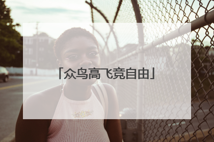 众鸟高飞竞自由