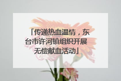 传递热血温情，东台市许河镇组织开展无偿献血活动