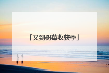 又到树莓收获季