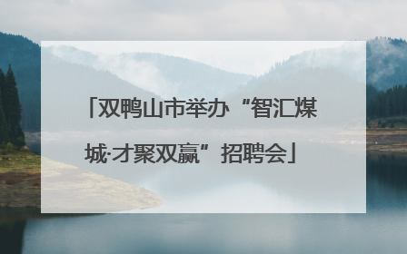 双鸭山市举办“智汇煤城·才聚双赢”招聘会