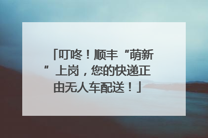 叮咚！顺丰“萌新”上岗，您的快递正由无人车配送！