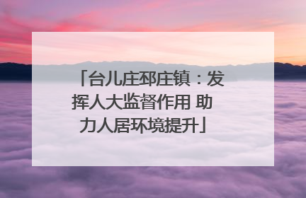 台儿庄邳庄镇：发挥人大监督作用 助力人居环境提升