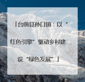台前县孙口镇:以“红色引擎”驱动乡村建设“绿色发展”
