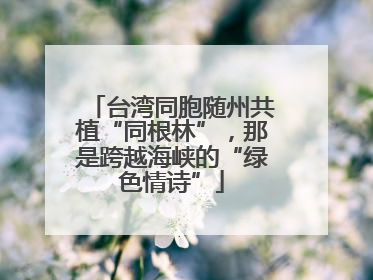 台湾同胞随州共植“同根林”，那是跨越海峡的“绿色情诗”