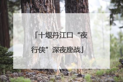十堰丹江口“夜行侠”深夜鏖战