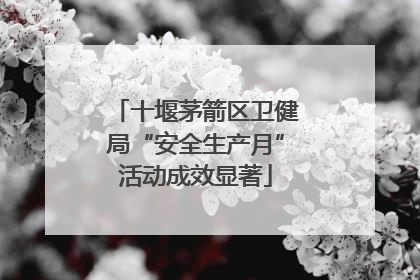 十堰茅箭区卫健局“安全生产月”活动成效显著