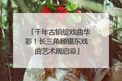 千年古镇绽戏曲华彩！长三角顾锡东戏曲艺术周启幕