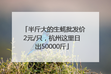 半斤大的生蚝批发价2元/只，杭州这里日出50000斤