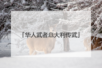 华人武者意大利传武