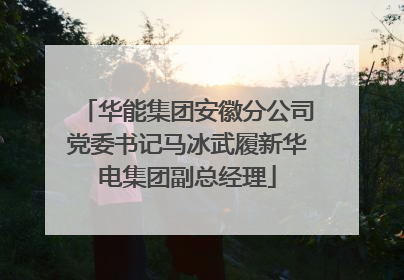 华能集团安徽分公司党委书记马冰武履新华电集团副总经理