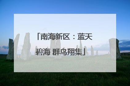 南海新区：蓝天碧海 群鸟翔集