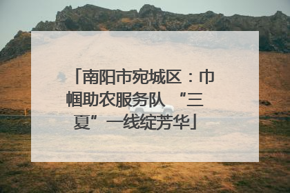 南阳市宛城区：巾帼助农服务队 “三夏”一线绽芳华