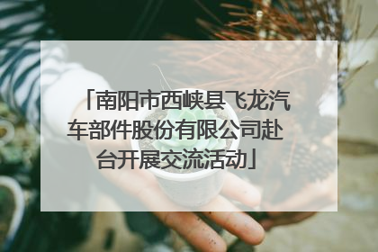 南阳市西峡县飞龙汽车部件股份有限公司赴台开展交流活动