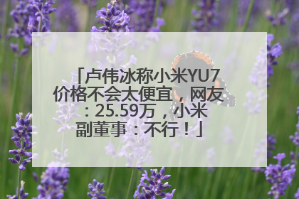 卢伟冰称小米YU7价格不会太便宜，网友：25.59万，小米副董事：不行！