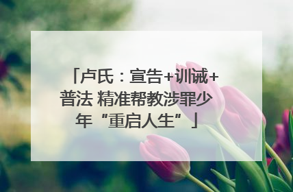 卢氏：宣告+训诫+普法 精准帮教涉罪少年“重启人生”