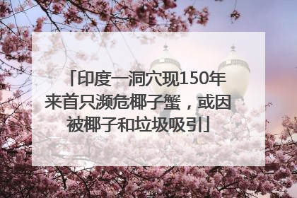 印度一洞穴现150年来首只濒危椰子蟹，或因被椰子和垃圾吸引