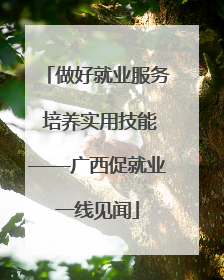 做好就业服务 培养实用技能——广西促就业一线见闻