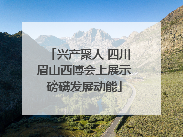 兴产聚人 四川眉山西博会上展示磅礴发展动能