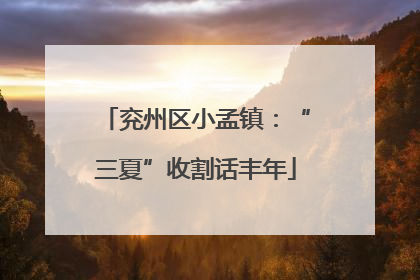 兖州区小孟镇：“三夏”收割话丰年