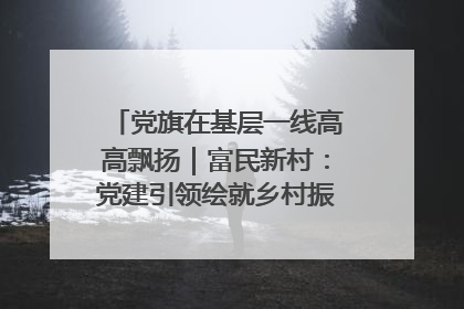 党旗在基层一线高高飘扬｜富民新村：党建引领绘就乡村振兴美丽画卷
