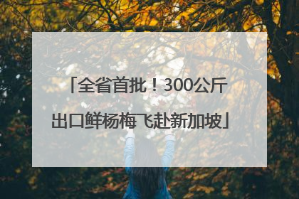 全省首批！300公斤出口鲜杨梅飞赴新加坡