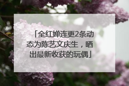 全红婵连更2条动态为陈艺文庆生，晒出最新收获的玩偶