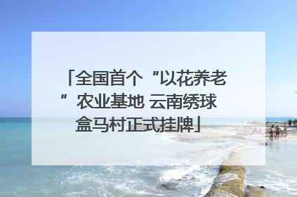 全国首个“以花养老”农业基地 云南绣球盒马村正式挂牌