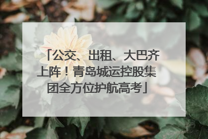公交、出租、大巴齐上阵！青岛城运控股集团全方位护航高考